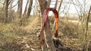 Turkey tote